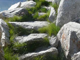 Natural, uncut stone steps placed in hillside