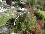 Gardens surrounding fire pit and flagstones