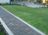 Lawn with concrete edging against a path