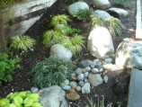 Shade garden with boulders