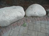 Pennsylvania Bluestone paver edged with natural granite boulders