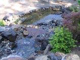 Multiple tier water feature with natural boulder and natural rock